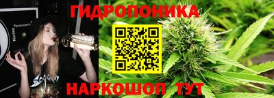 индика Будённовск