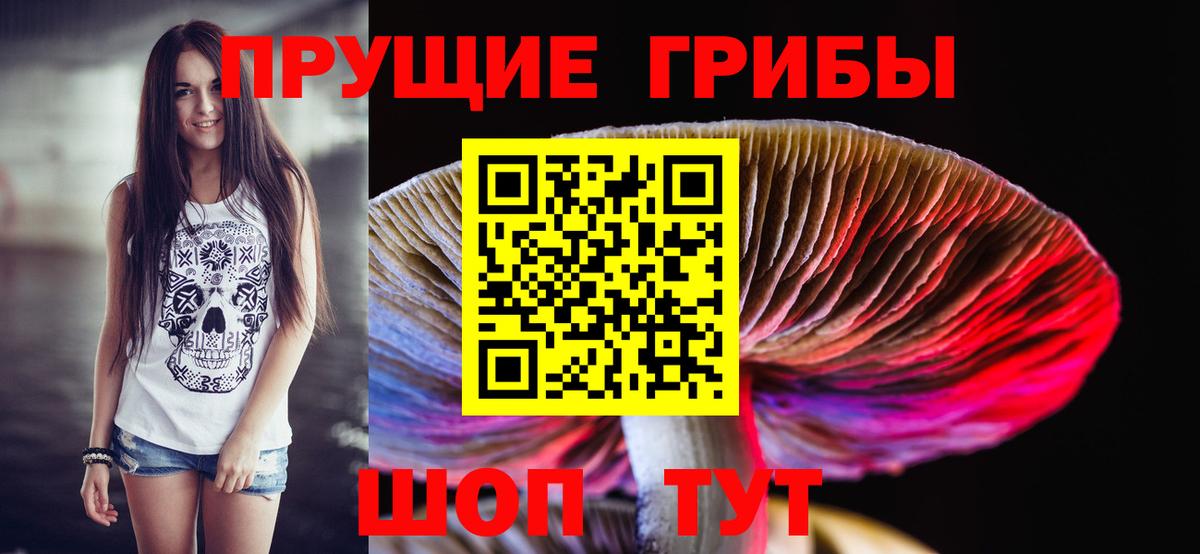 Галлюциногенные грибы Psilocybine cubensis  где купить наркоту  Щёкино  Галлюциногенные грибы Magic Shrooms  Вход с VPN 